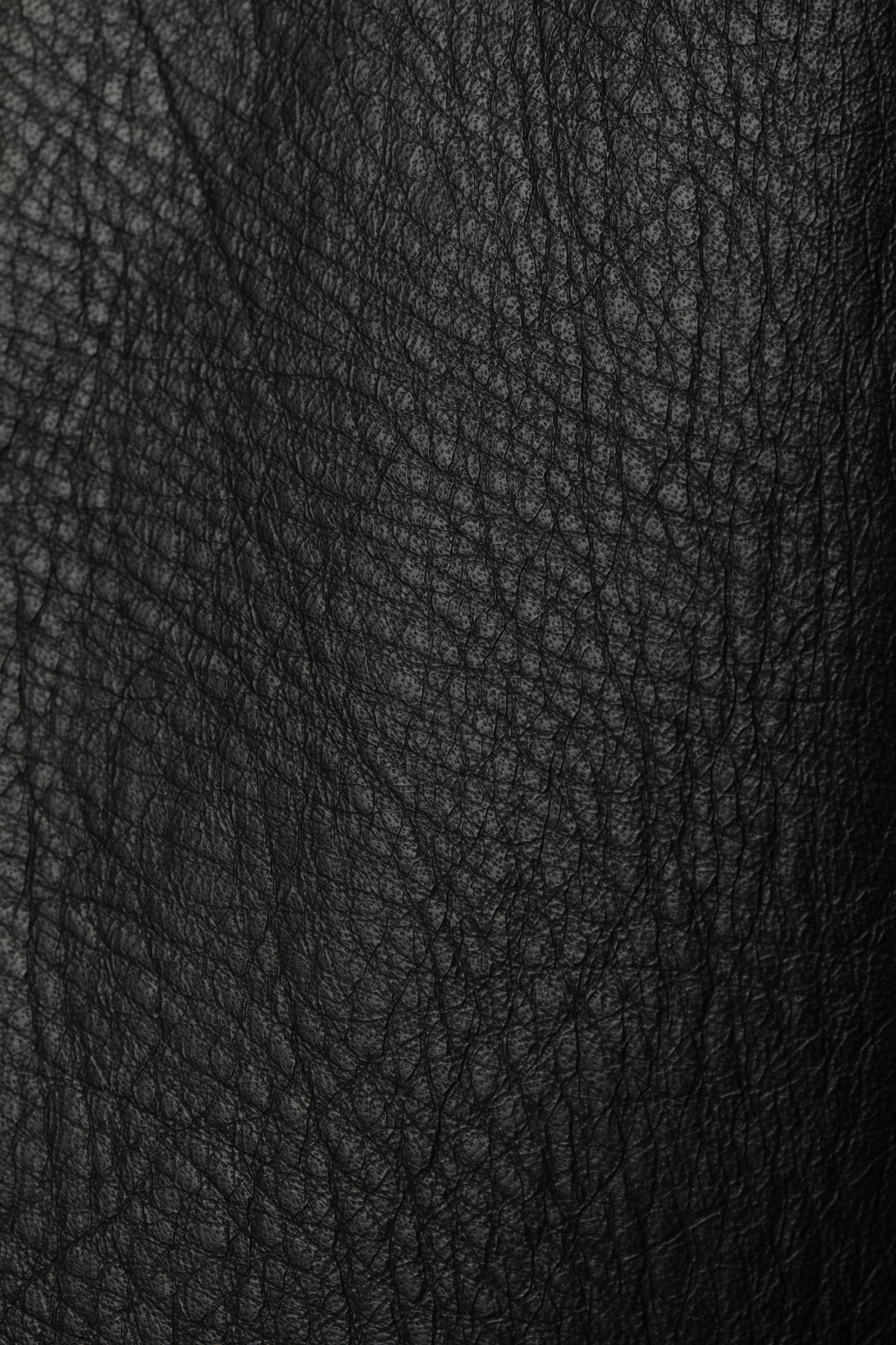 Leather Zip-Up Blouson