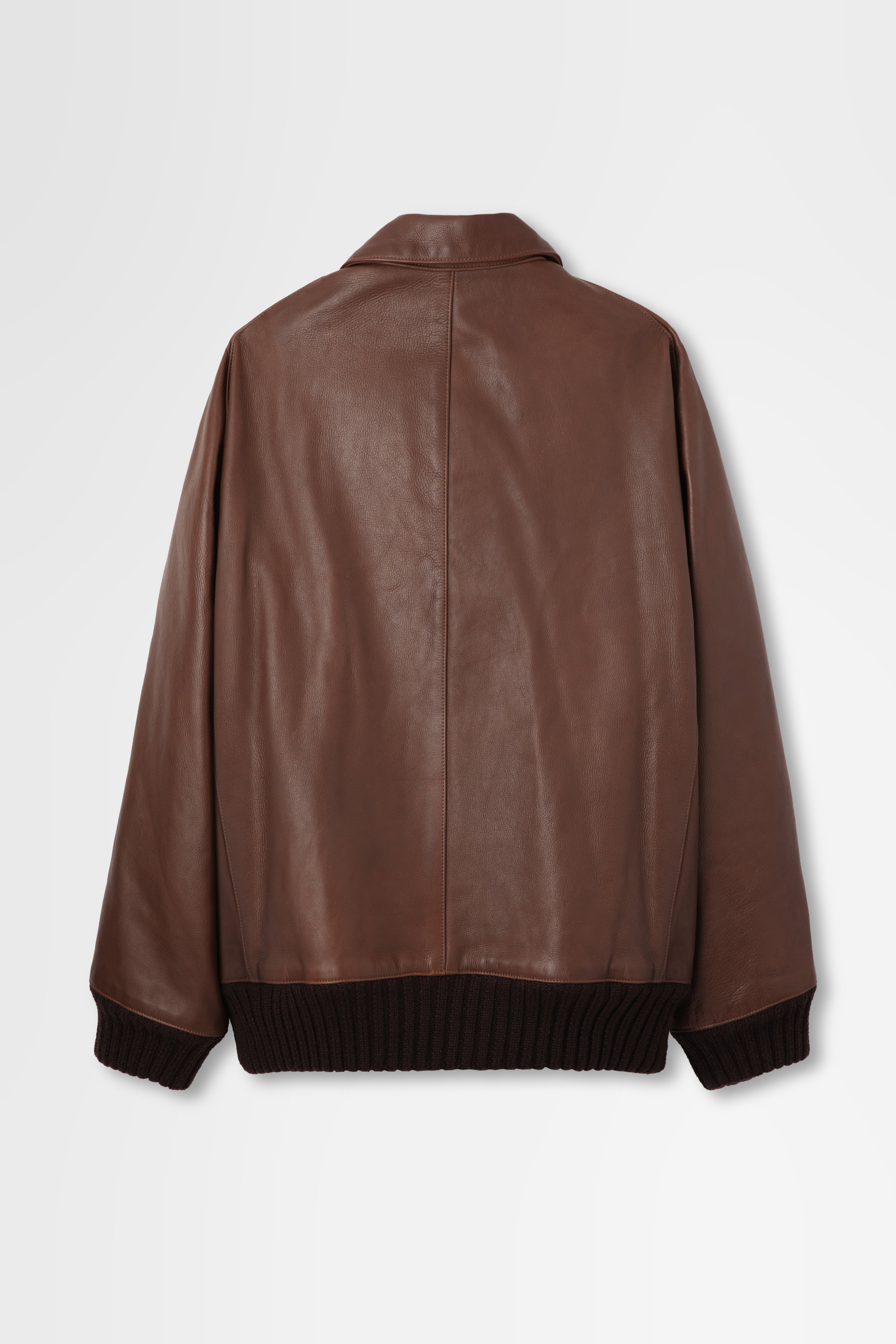Leather Zip-Up Blouson