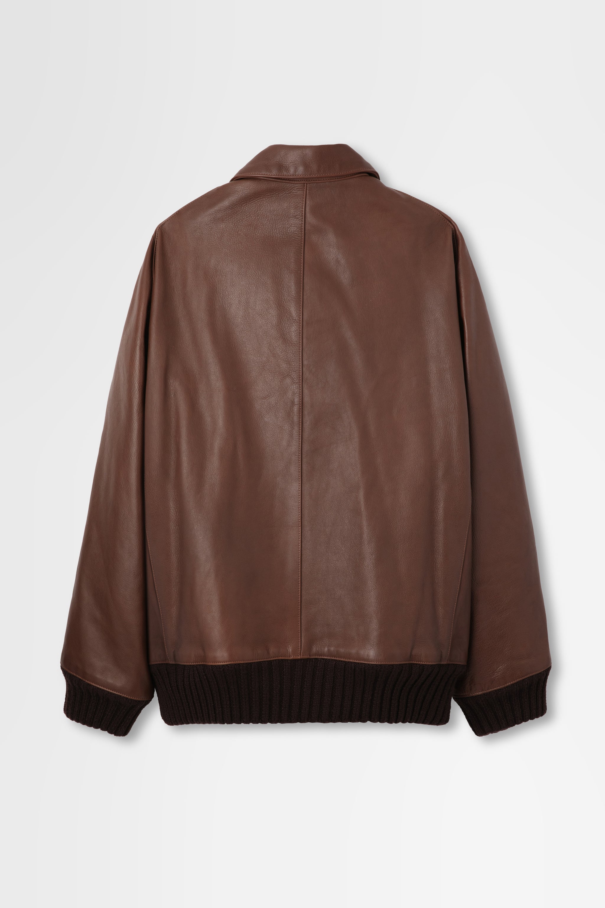Leather Zip-Up Blouson