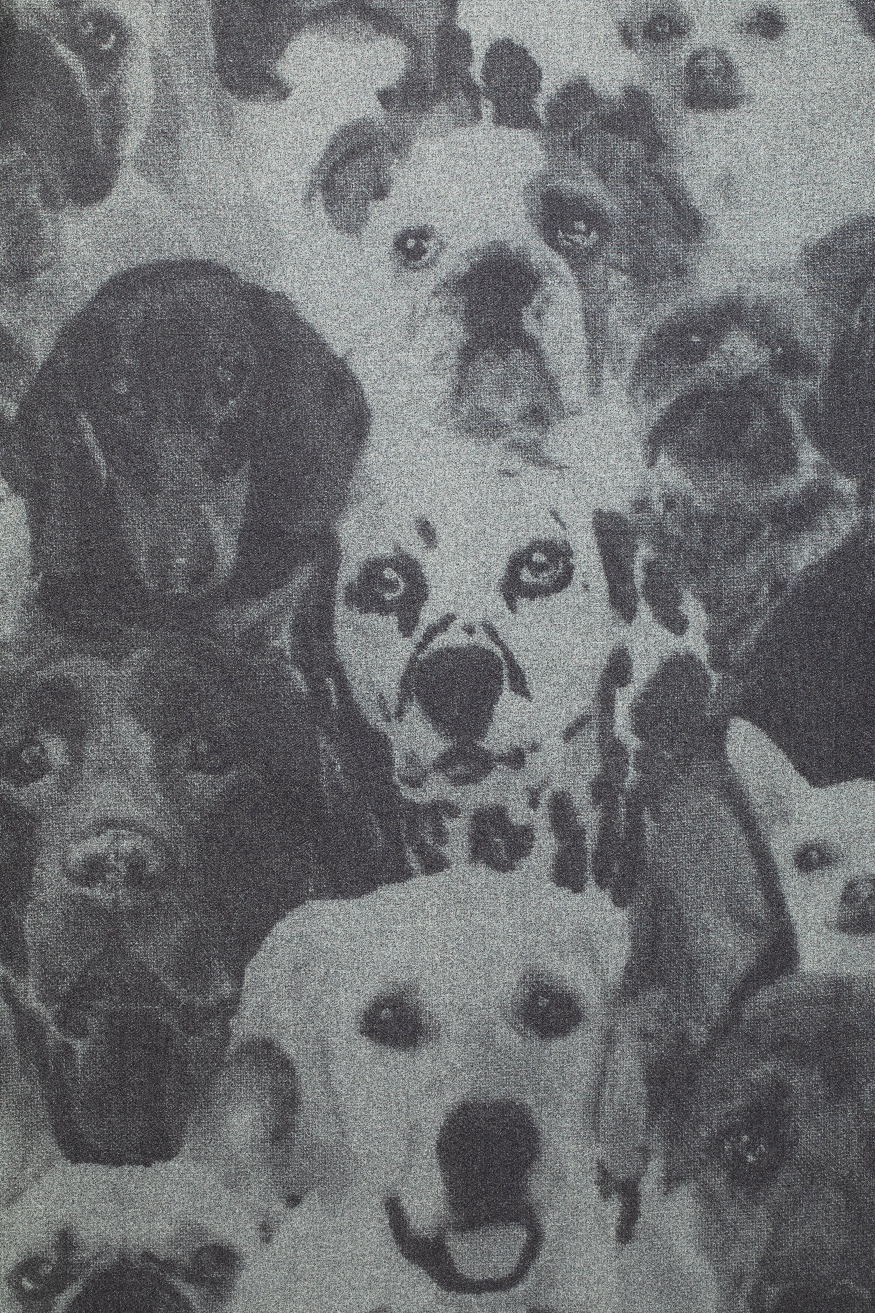 Printed Long Wool Shirting