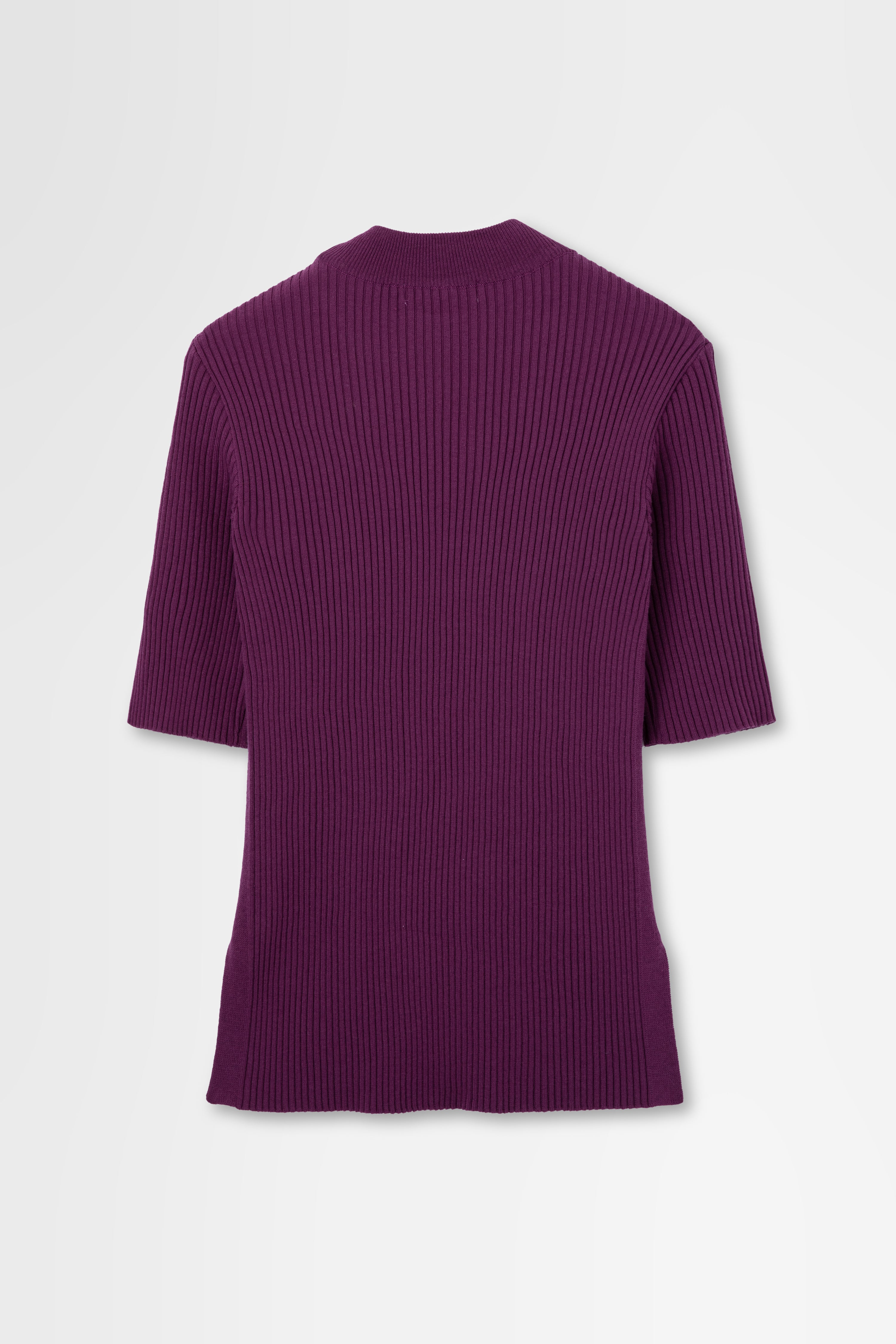 Ribbed Short Sleeve in Wool Rib