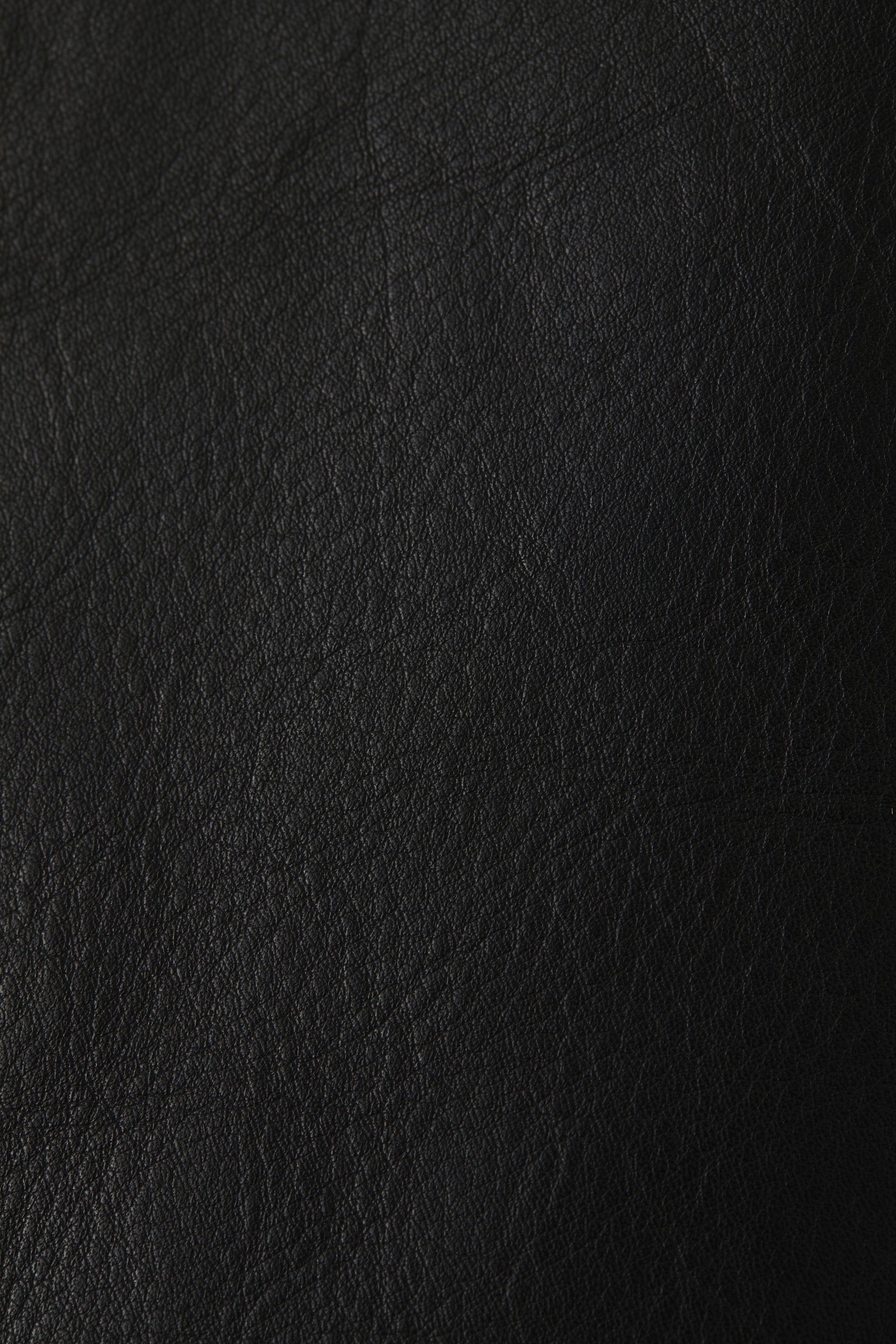 Leather Zip-Up Blouson