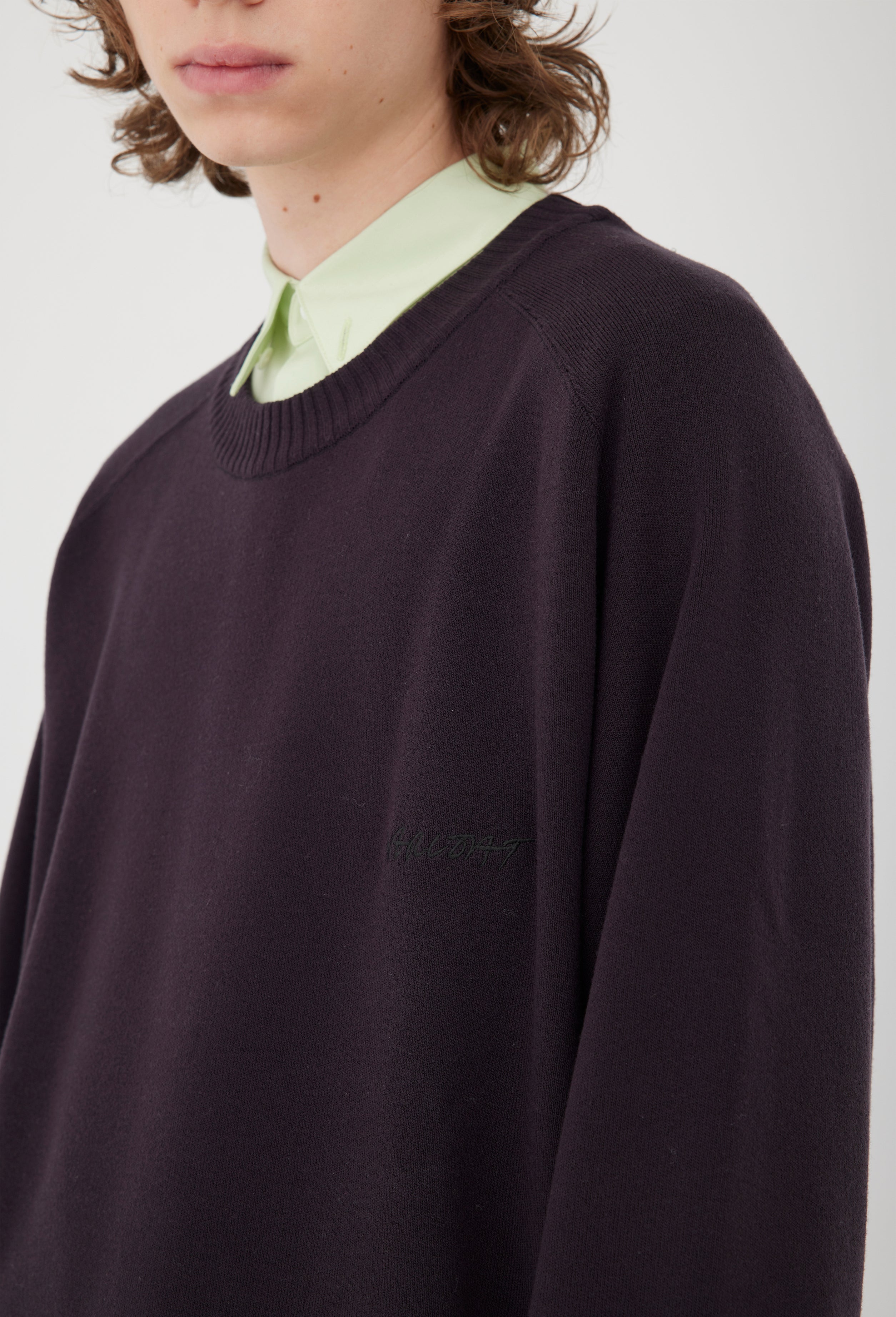 Wool Knit Crewneck Pullover in Coffee Bean